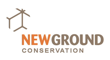 Newground